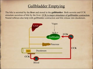 Gallbladder Emptying
The bile is secreted by the liver and stored in the gallbladder. Both secretin and CCK
stimulate secretion of bile by the liver. CCK is major stimulator of gallbladder contraction.
Neural reflexes also help with gallbladder contraction and bile release into duodenum.

                                                  Vagus
                              Liver


                                                   ACh +
                                                                 CCK
                                               Gallbladder
                                                             +
                                                  Pancreas
                                                                        CCK
                       FAT       Duodenum
                         ...
                     CCK

                              Blood
 
