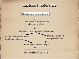 Lactose Intolerance
                   Deficiency in enzyme lactase


                      Inadequate lactose digestion
                          (Lactose in milk)


                High level of lactose in intestine (Colon)

Osmotic effect (water moves                     Bacterial action on
from blood to lumen)                            undigested lactose.

                     Intraluminal volume and gas


                     DIARRHEOA & GAS
 