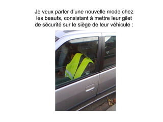 Je veux parler d’une nouvelle mode chez les beaufs, consistant à mettre leur gilet de sécurité sur le siège de leur véhicule : 