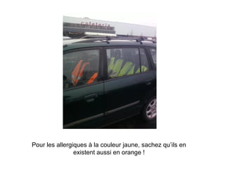 Pour les allergiques à la couleur jaune, sachez qu’ils en existent aussi en orange ! 