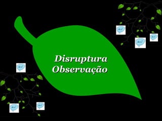 Disruptura Observação   