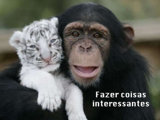 Fazer coisas interessantes 