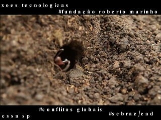 #conexoes tecnologicas #fundação roberto marinho #conflitos globais #sebrae/ead #acessa sp 