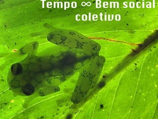 Tempo ∞ Bem social coletivo 