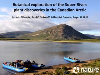 Botanical exploration of the Soper River:
plant discoveries in the Canadian Arctic
Lynn J. Gillespie, Paul C. Sokoloff, Jeffery M. Saarela, Roger D. Bull
 