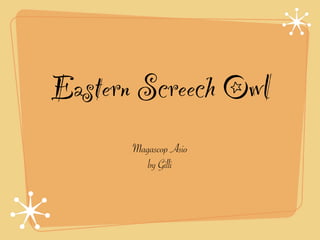 Eastern Screech Owl
       Magascop Asio
          by Gilli
 