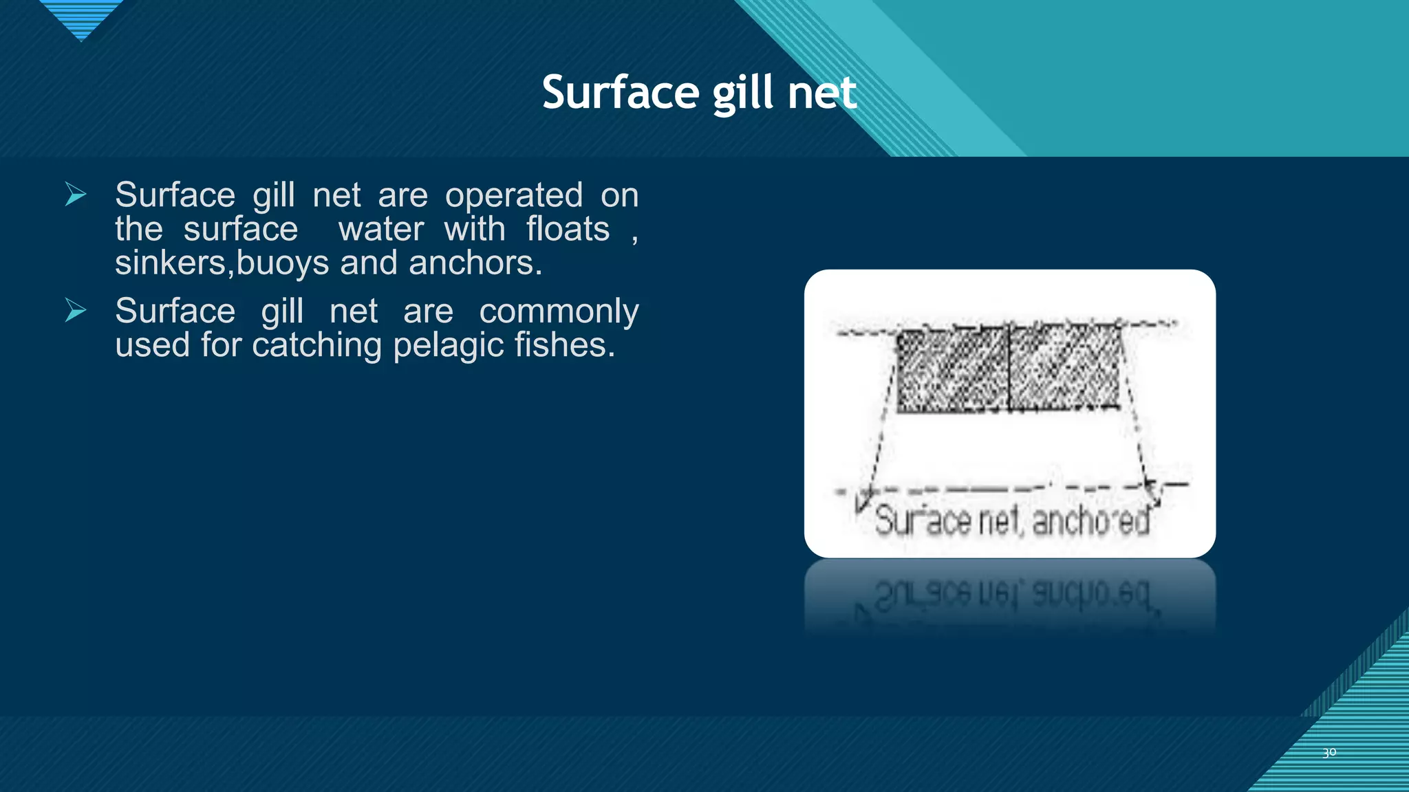 Gill net | PPTX