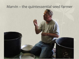 Camas seed cleaning demonstration
 