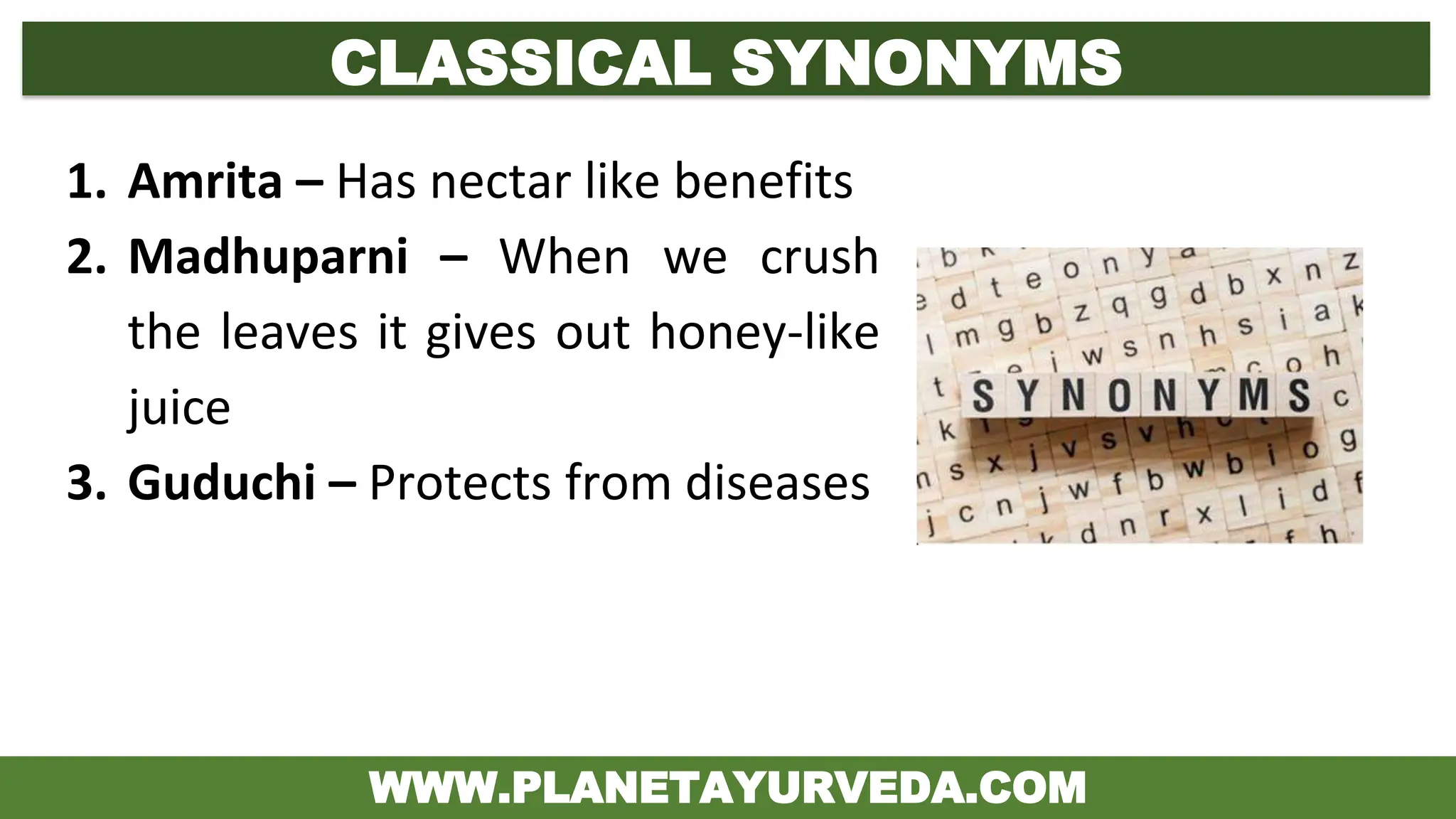 Giloy in Ayurveda - Classical Categorization and Synonyms | PDF