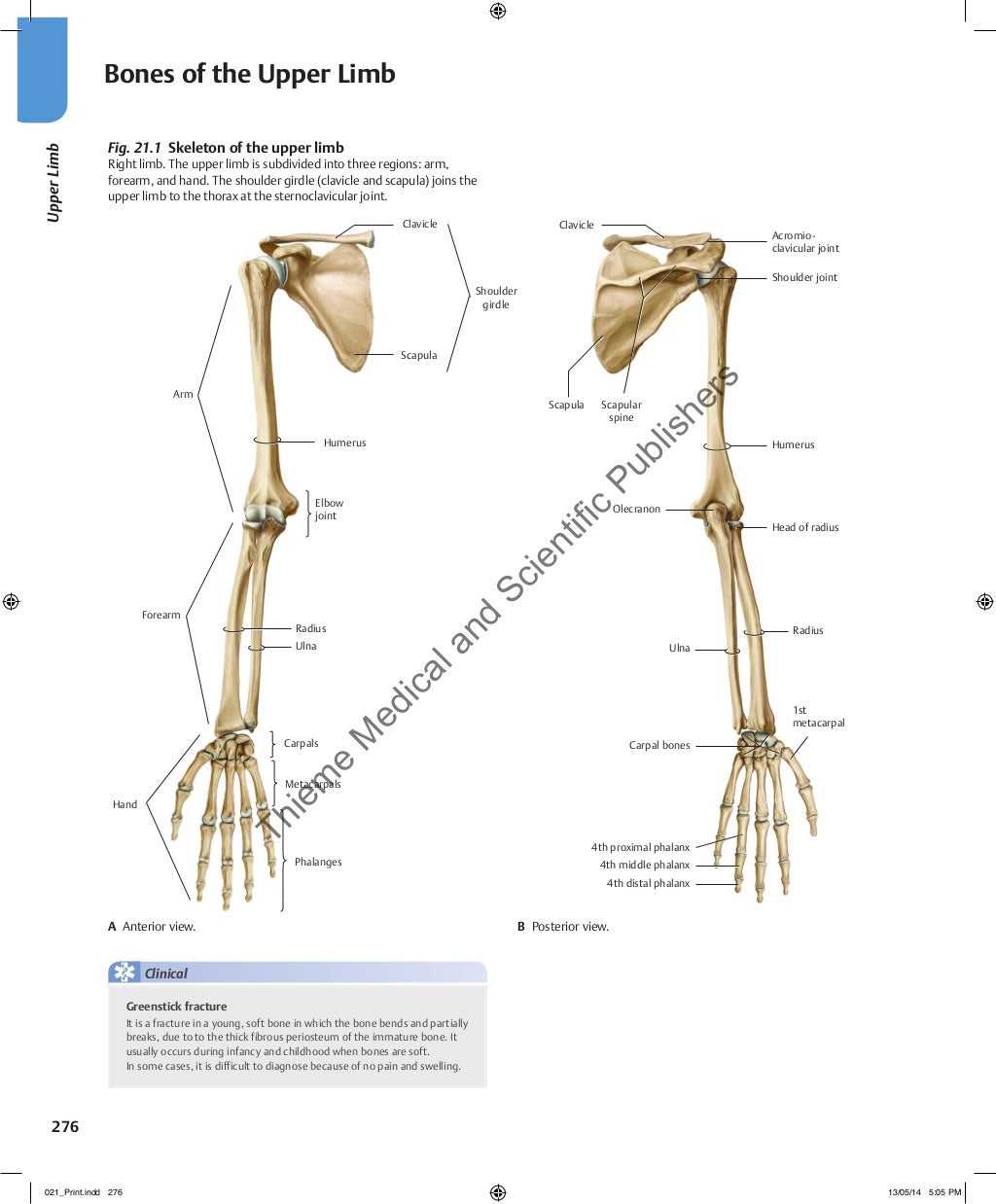Atlas of Anatomy by Gilroy