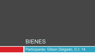 BIENES
Participante: Gilson Delgado, C.I: 14.
 
