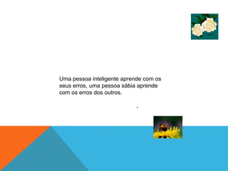 Uma pessoa inteligente aprende com os
seus erros, uma pessoa sábia aprende
com os erros dos outros.
 
