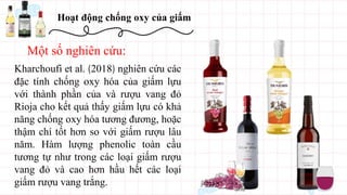 Hoạt động chống oxy của giấm
Một số nghiên cứu:
Kharchoufi et al. (2018) nghiên cứu các
đặc tính chống oxy hóa của giấm lựu
với thành phần của và rượu vang đỏ
Rioja cho kết quả thấy giấm lựu có khả
năng chống oxy hóa tương đương, hoặc
thậm chí tốt hơn so với giấm rượu lâu
năm. Hàm lượng phenolic toàn cầu
tương tự như trong các loại giấm rượu
vang đỏ và cao hơn hầu hết các loại
giấm rượu vang trắng.
 