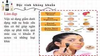 Đ ặ c t í n h kh á n g kh u ẩ n
Việc sử dụng giấm dưới
dạng mặt nạ hoặc sữa
tắm có thể giúp ngăn
chặn sự phát triển quá
mức của vi khuẩn P.
acnes và những loại
khác
Làm đẹp
 