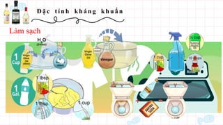 Đ ặ c t í n h kh á n g kh u ẩ n
Làm sạch
 