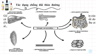 Tác dụng chống đái tháo đường
Giấm có tác dụng chống đái tháo đường và có thể cải thiện độ nhạy insulin của
cả người và động vật. Một số cơ chế cho hiệu ứng này đã được đề xuất do
(Fushimi et al., 2001; Liljeberg và Björck, 1998; Salbe et al., 2009), (Salbe et
al., 2009).
 