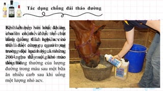 Tác dụng chống đái tháo đường
Bệnh chuyển hóa hoặc kháng
insulin có thể được hỗ trợ
bằng giấm. Các nghiên cứu
trên đối tượng người tại
trường đại học bang Arizona,
2004, cho thấy sự giảm mức
tăng thông thường của lượng
đường trong máu sau một bữa
ăn nhiều carb sau khi uống
một lượng nhỏ acv.
Khi kết hợp với chế độ ăn,
cho ăn chậm và hỗ trợ chất
dinh dưỡng thích hợp, acv có
thể là một công cụ quan trọng
trong việc quản lý cả những
con ngựa dễ nuôi, khó trao
đổi chất.
 