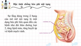 Đặc tính chống béo phì nội tạng
Sự lắng đọng trong ổ bụng
của mô mỡ nội tạng là một
dạng béo phì liên quan đến các
bệnh như đái tháo đường loại
2, tăng lipid máu, tăng huyết áp
và bệnh mạch vành.
 