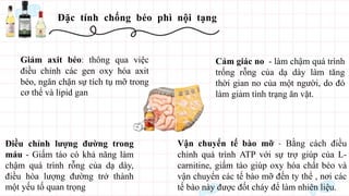 Đặc tính chống béo phì nội tạng
Giảm axit béo: thông qua việc
điều chỉnh các gen oxy hóa axit
béo, ngăn chặn sự tích tụ mỡ trong
cơ thể và lipid gan
Cảm giác no - làm chậm quá trình
trống rỗng của dạ dày làm tăng
thời gian no của một người, do đó
làm giảm tình trạng ăn vặt.
Điều chỉnh lượng đường trong
máu - Giấm táo có khả năng làm
chậm quá trình rỗng của dạ dày,
điều hòa lượng đường trở thành
một yếu tố quan trọng
Vận chuyển tế bào mỡ - Bằng cách điều
chỉnh quá trình ATP với sự trợ giúp của L-
carnitine, giấm táo giúp oxy hóa chất béo và
vận chuyển các tế bào mỡ đến ty thể , nơi các
tế bào này được đốt cháy để làm nhiên liệu.
 