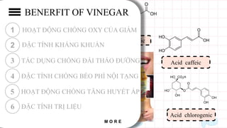 Acid gallic
Acid acetic
Catechin
Acid caffeic
Acid chlorogenic
Acid ferulic
1 HOẠT ĐỘNG CHỐNG OXY CỦA GIẤM
2 ĐẶC TÍNH KHÁNG KHUẨN
3 TÁC DỤNG CHỐNG ĐÁI THÁO ĐƯỜNG
4 ĐẶC TÍNH CHỐNG BÉO PHÌ NỘI TẠNG
BENERFIT OF VINEGAR
M O R E
5 HOẠT ĐỘNG CHỐNG TĂNG HUYẾT ÁP
6 ĐẶC TÍNH TRỊ LIỆU
 