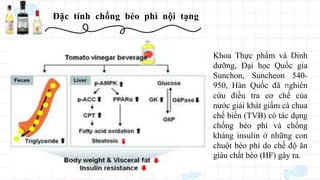 Đặc tính chống béo phì nội tạng
Khoa Thực phẩm và Dinh
dưỡng, Đại học Quốc gia
Sunchon, Suncheon 540-
950, Hàn Quốc đã nghiên
cứu điều tra cơ chế của
nước giải khát giấm cà chua
chế biến (TVB) có tác dụng
chống béo phì và chống
kháng insulin ở những con
chuột béo phì do chế độ ăn
giàu chất béo (HF) gây ra.
 