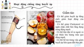 Hoạt động chống tăng huyết áp
- Có thể giảm huyết áp bằng
cách giảm hoạt động của
Renin
- Có thể giảm Cholesterol và
ngăn chặn chất béo lắng đọng
trong động mạch
- Có thể thải độc tố ra ngoài và
cải thiện lưu lượng máu qua
động mạch
- Có thể hỗ trợ trong việc giảm
huyết áp liên quan đến béo phì
Giấm táo
 