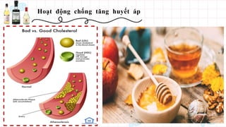 Hoạt động chống tăng huyết áp
Trà giấm táo sử dụng để giảm mức cholesterol
trong cơ thể. Mật ong được thêm vào trà giấm táo
làm giảm mức độ lipoprotein mật độ thấp (LDL)
thường được gọi là cholesterol xấu và làm tăng
mức độ lipoprotein mật độ cao (HDL) là
cholesterol tốt.
Giấm táo cũng chứa một tỷ lệ nhất định axit
axetic giúp gan tạo ra các axit béo và cũng giúp
tăng sản xuất mật trong gan. Mật giúp giảm mức
cholesterol LDL.
 