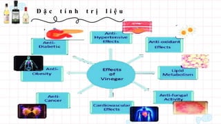 Đ ặ c t í n h t r ị l i ệ u
 