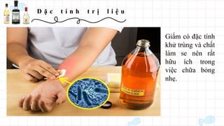 Đ ặ c t í n h t r ị l i ệ u
Giấm có đặc tính
khử trùng và chất
làm se nên rất
hữu ích trong
việc chữa bỏng
nhẹ.
 
