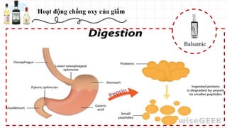 Hoạt động chống oxy của giấm
Balsamic
 