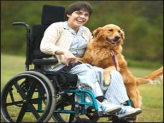 FOTO DEL  NIÑO / NIÑA FOTO DEL  NIÑO / NIÑA FOTO DEL NIÑO / NIÑA 