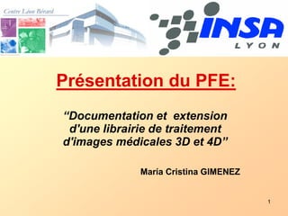 1
Présentation du PFE:
“Documentation et extension
d'une librairie de traitement
d'images médicales 3D et 4D”
María Cristina GIMENEZ
 