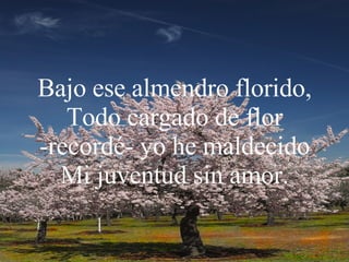 Bajo ese almendro florido, Todo cargado de flor -recordé- yo he maldecido Mi juventud sin amor. 