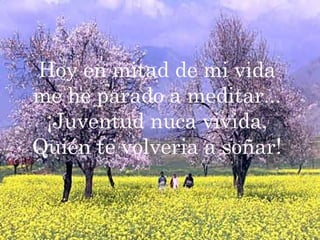 Hoy en mitad de mi vida me he parado a meditar... ¡Juventud nuca vivida, Quién te volveria a soñar! 