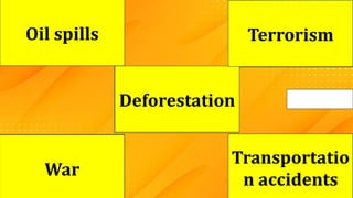 ? ?
?
?
?
Deforestation
War
Transportatio
n accidents
Oil spills Terrorism
 