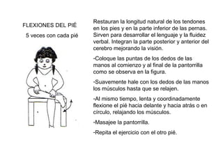 FLEXIONES DEL PIÉ
5 veces con cada pié

Restauran la longitud natural de los tendones
en los pies y en la parte inferior de las pernas.
Sirven para desarrollar el lenguaje y la fluidez
verbal. Integran la parte posterior y anterior del
cerebro mejorando la visión.
-Coloque las puntas de los dedos de las
manos al comienzo y al final de la pantorrilla
como se observa en la figura.
-Suavemente hale con los dedos de las manos
los músculos hasta que se relajen.
-Al mismo tiempo, lenta y coordinadamente
flexione el pié hacia delante y hacia atrás o en
círculo, relajando los músculos.
-Masajee la pantorrilla.
-Repita el ejercicio con el otro pié.

 