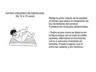 GATEO CRUZADO DE ESPALDAS
De 12 a 15 veces

Relaja la parte inferior de la espalda
al tiempo que activa la integración de
los hemisferios del cerebro.
Fortalece los músculos abdominales.
- Sobre el piso como se observa en
la figura toque con el codo la rodilla
opuesta, alternando el movimiento
como si estuviera montando en
bicicleta. Puede imaginar una X
entre las caderas y los hombros.

 