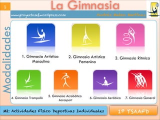 www.proyectosef.wordpress.com Andrés Mateo Martínez
1º TSAAFDM2: Actividades Físico Deportivas Individuales
La GimnasiaModalidades
1. Gimnasia Artística
Masculina
2. Gimnasia Artística
Femenina
3. Gimnasia Rítmica
4. Gimnasia Trampolín
5. Gimnasia Acrobática
Acrosport
6. Gimnasia Aeróbica 7. Gimnasia General
1
 