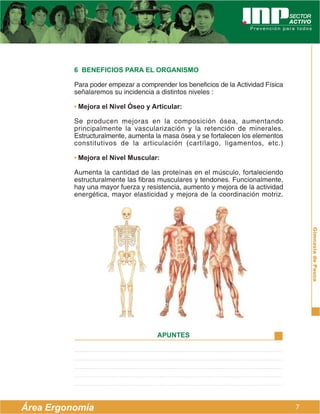 6 BENEFICIOS PARA EL ORGANISMO

          Para poder empezar a comprender los beneficios de la Actividad Física
          señalaremos su incidencia a distintos niveles :

          • Mejora el Nivel Óseo y Articular:

          Se producen mejoras en la composición ósea, aumentando
          principalmente la vascularización y la retención de minerales.
          Estructuralmente, aumenta la masa ósea y se fortalecen los elementos
          constitutivos de la articulación (cartílago, ligamentos, etc.)

          • Mejora el Nivel Muscular:

          Aumenta la cantidad de las proteínas en el músculo, fortaleciendo
          estructuralmente las fibras musculares y tendones. Funcionalmente,
          hay una mayor fuerza y resistencia, aumento y mejora de la actividad
          energética, mayor elasticidad y mejora de la coordinación motriz.




                                                                                      Gimnasia de Pausa



                                     APUNTES




Área Ergonomía                                                                    7
 