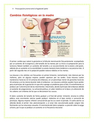  Preocupaciónytemorante la llegadadel parto
Cambios fisiológicos en la madre
El primer cambio que notará la gestante es la falta de menstruación frecuentemente acompañado
por un aumento de la turgencia y del tamaño de las mamas por su inicio a la preparación para la
lactancia. Notará también un aumento del tamaño y un oscurecimiento de la areola y del pezón,
además de un aumento en la sensibilidad. La areola mamaria tiene tendencia a oscurecerse más. A
partir del segundo mes en la palpación pueden notarse nódulos en las mamas.
Las náuseas y los vómitos son frecuentes en primer trimestre, normalmente más intensos por las
mañanas, pero en algunas mujeres pueden aparecer por las tardes. Estas náuseas suelen
mantenerse hasta las 12-13 semanas de embarazo, en un porcentaje menor de gestantes hasta las
16 semanas y en las menos durante todo el embarazo. Las náuseas y vómitos pueden hacer perder
peso al principio de la gestación sin que ello suponga un problema para el feto. El estreñimiento se
produce por ladisminución de los movimientos intestinales,desde elprincipio del embarazo debido
al aumento de progesterona. La salivación profusa, el sabor metálico en la boca y la alteración de
los sabores son síntomas de los que se desconocen las causas.
El útero aumenta de tamaño de forma gradual y al final del primer trimestre alcanza la sínfisis
púbica, este crecimiento uterino puede producir molestias en el bajo vientre o sensación de
pinchazos. Algunas mujeres refieren sensación de que les va a venir el periodo. El cuello uterino se
ablanda desde el primer mes postconcepción y al estar más vascularizado puede sangrar más
fácilmente con las relaciones sexuales. El crecimiento del útero comporta su presión sobre la vejiga
urinaria, por lo que se produce un aumento en la frecuencia miccional.
 