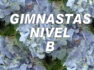 GIMNASTAS  NIVEL  B 
