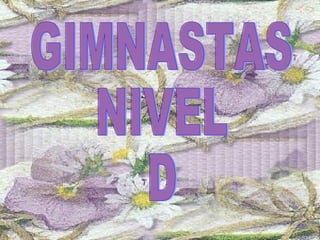 GIMNASTAS  NIVEL  D 