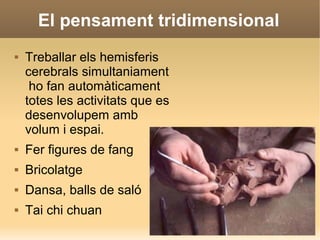 El pensament tridimensional
 Treballar els hemisferis
cerebrals simultaniament
ho fan automàticament
totes les activitats que es
desenvolupem amb
volum i espai.
 Fer figures de fang
 Bricolatge
 Dansa, balls de saló
 Tai chi chuan
 