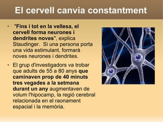 El cervell canvia constantment
 "Fins i tot en la vellesa, el
cervell forma neurones i
dendrites noves", explica
Staudinger. Si una persona porta
una vida estimulant, formarà
noves neurones i dendrites.
 El grup d'investigadors va trobar
que adults de 55 a 80 anys que
caminaven prop de 40 minuts
tres vegades a la setmana
durant un any augmentaven de
volum l'hipocamp, la regió cerebral
relacionada en el raonament
espacial i la memòria.
 