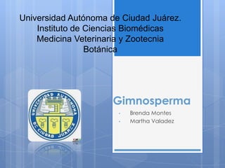 Universidad Autónoma de Ciudad Juárez.
    Instituto de Ciencias Biomédicas
    Medicina Veterinaria y Zootecnia
                 Botánica




                     Gimnosperma
                       •   Brenda Montes
                       •   Martha Valadez
 