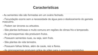 Características 
- As sementes não são formadas em um ovário fechado. 
- Fecundação ocorre sem a necessidade de água para o deslocamento do gameta 
masculino. 
- Podem ser árvores ou arbustos. 
- São plantas lenhosas e muito comuns em regiões de climas frio e temperado. 
- As gimnospermas não produzem frutos. 
- Possuem sementes nuas, ou seja, sem fruto. 
- São plantas de vida terrestre. 
- Possuem folhas férteis, além de caule, raiz e flores. 
- As gimnospermas produzem grãos de pólen para o processo reprodutivo. 
 