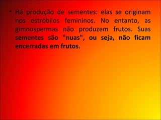 • Há produção de sementes: elas se originam
  nos estróbilos femininos. No entanto, as
  gimnospermas não produzem frutos. Suas
  sementes são "nuas", ou seja, não ficam
  encerradas em frutos.
 