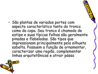 • São plantas de variados portes com
aspecto característico tanto do tronco
como da copa. Seu tronco é chamado de
estipe e suas típicas folhas são geralmente
pinadas e flabeladas. São tipos que
impressionam principalmente pela silhueta
esbelta. Possuem a função de ornamentar,
caracterizar uma região, complementar
linhas arquitetônicas e atrair pássa