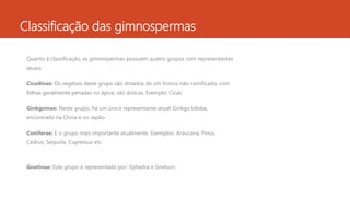 Classificação das gimnospermas
Quanto à classificação, as gimnospermas possuem quatro grupos com representantes
atuais:
Cicadinae: Os vegetais deste grupo são dotados de um tronco não-ramificado, com
folhas geralmente penadas no ápice; são dióicas. Exemplo: Cicas.
Ginkgoinae: Neste grupo, há um único representante atual: Ginkgo biloba,
encontrado na China e no Japão.
Coniferae: E o grupo mais importante atualmente. Exemplos: Araucaria, Pinus,
Cedrus, Sequola, Cupressus etc.
Gnetinae: Este grupo é representado por: Ephedra e Gneturn.
 