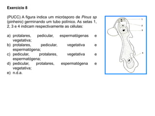 Exercício 8
(PUCC) A figura indica um micrósporo de Pinus sp
(pinheiro) germinando um tubo polínico. As setas 1,
2, 3 e 4 indicam respectivamente as células:
a) protalares, pedicular, espermatógenas e
vegetativa;
b) protalares, pedicular, vegetativa e
espermatógena;
c) pedicular, protalares, vegetativa e
espermatógena;
d) pedicular, protalares, espermatógena e
vegetativa;
e) n.d.a.
 